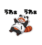 パンダになりたいレッサーパンダ（個別スタンプ：16）