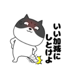 【毎日使える】関西弁ネコの猫男（個別スタンプ：22）