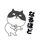 【毎日使える】関西弁ネコの猫男（個別スタンプ：31）