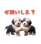 オールドイングリッシュシープドッグベビー（個別スタンプ：2）