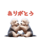 オールドイングリッシュシープドッグベビー（個別スタンプ：5）