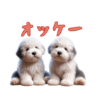 オールドイングリッシュシープドッグベビー（個別スタンプ：7）