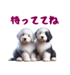 オールドイングリッシュシープドッグベビー（個別スタンプ：15）