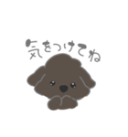 ぼく、ロロ。（個別スタンプ：12）