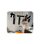 miokio＆soraou（個別スタンプ：1）