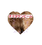 ぺちのワクワクスタンプanime’s ver（個別スタンプ：1）