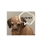 ぺちのワクワクスタンプanime’s ver（個別スタンプ：4）