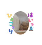ぺちのワクワクスタンプanime’s ver（個別スタンプ：6）