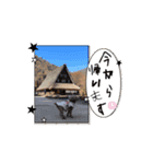 ぺちのワクワクスタンプanime’s ver（個別スタンプ：7）