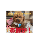 ぺちのワクワクスタンプanime’s ver（個別スタンプ：9）