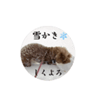 ぺちのワクワクスタンプanime’s ver（個別スタンプ：12）