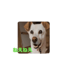 バニラぱん5（個別スタンプ：2）