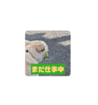バニラぱん5（個別スタンプ：13）