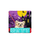 アエラのスタンプ（個別スタンプ：3）