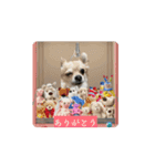アエラのスタンプ（個別スタンプ：4）