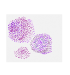 草^ ^（個別スタンプ：24）