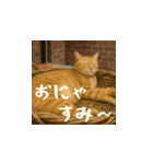 クスッと笑える小花達の会話（日本語）（個別スタンプ：4）