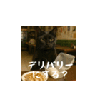 クスッと笑える小花達の会話（日本語）（個別スタンプ：8）