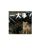 クスッと笑える小花達の会話（日本語）（個別スタンプ：12）