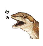 ニホンカナヘビのスタンプ2（個別スタンプ：1）