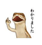 ニホンカナヘビのスタンプ2（個別スタンプ：2）