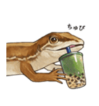 ニホンカナヘビのスタンプ2（個別スタンプ：3）