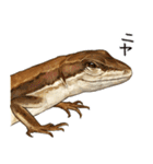 ニホンカナヘビのスタンプ2（個別スタンプ：4）