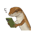 ニホンカナヘビのスタンプ2（個別スタンプ：7）