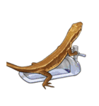 ニホンカナヘビのスタンプ2（個別スタンプ：8）