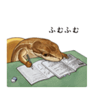 ニホンカナヘビのスタンプ2（個別スタンプ：10）