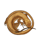 ニホンカナヘビのスタンプ2（個別スタンプ：16）