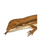ニホンカナヘビのスタンプ2（個別スタンプ：23）