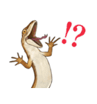 ニホンカナヘビのスタンプ2（個別スタンプ：27）