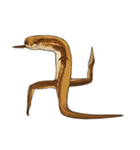 ニホンカナヘビのスタンプ2（個別スタンプ：30）