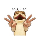 ニホンカナヘビのスタンプ2（個別スタンプ：32）