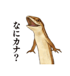 ニホンカナヘビのスタンプ2（個別スタンプ：33）