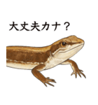 ニホンカナヘビのスタンプ2（個別スタンプ：34）