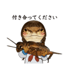 ニホンカナヘビのスタンプ2（個別スタンプ：39）