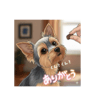 ななし君空気読める（個別スタンプ：7）