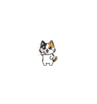 さりげにゃい三毛猫のきもち（個別スタンプ：16）