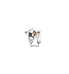 さりげにゃい三毛猫のきもち（個別スタンプ：17）
