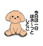 キュートなトイプードル ♡ やる気が出ない（個別スタンプ：8）