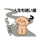 キュートなトイプードル ♡ やる気が出ない（個別スタンプ：11）