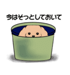 キュートなトイプードル ♡ やる気が出ない（個別スタンプ：13）
