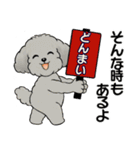 キュートなトイプードル ♡ やる気が出ない（個別スタンプ：20）