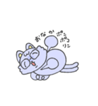 めがにゃー1（個別スタンプ：12）