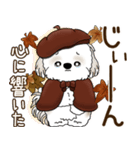 シーズー犬 2025 「ベレー帽さん」秋（個別スタンプ：8）