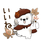シーズー犬 2025 「ベレー帽さん」秋（個別スタンプ：21）