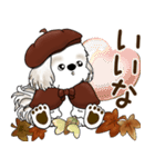 シーズー犬 2025 「ベレー帽さん」秋（個別スタンプ：26）