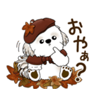 シーズー犬 2025 「ベレー帽さん」秋（個別スタンプ：28）